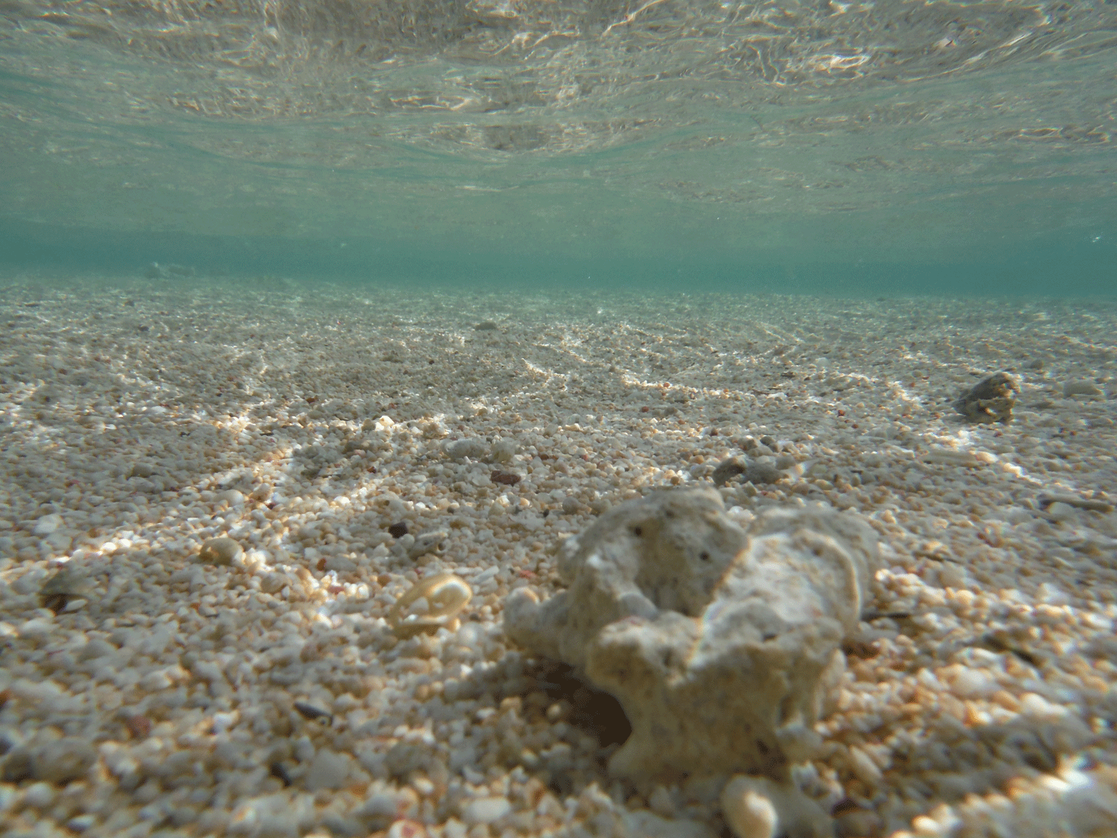 ヨロン島、百合ヶ浜